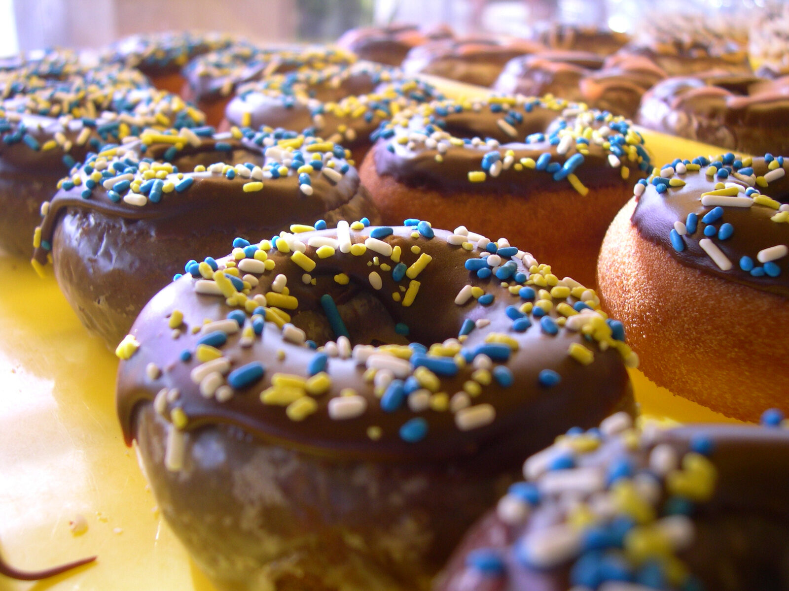 City Donut in Perdido Beach Boulevard